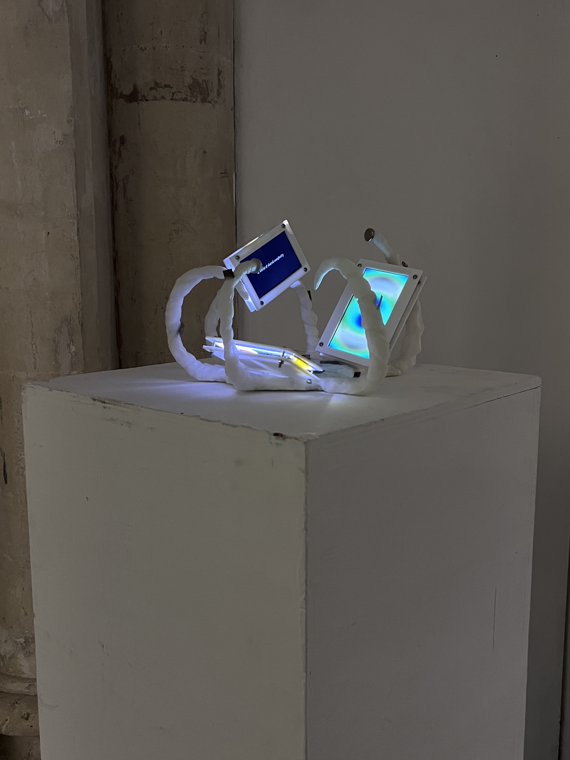 I Gaze into a Bright Light